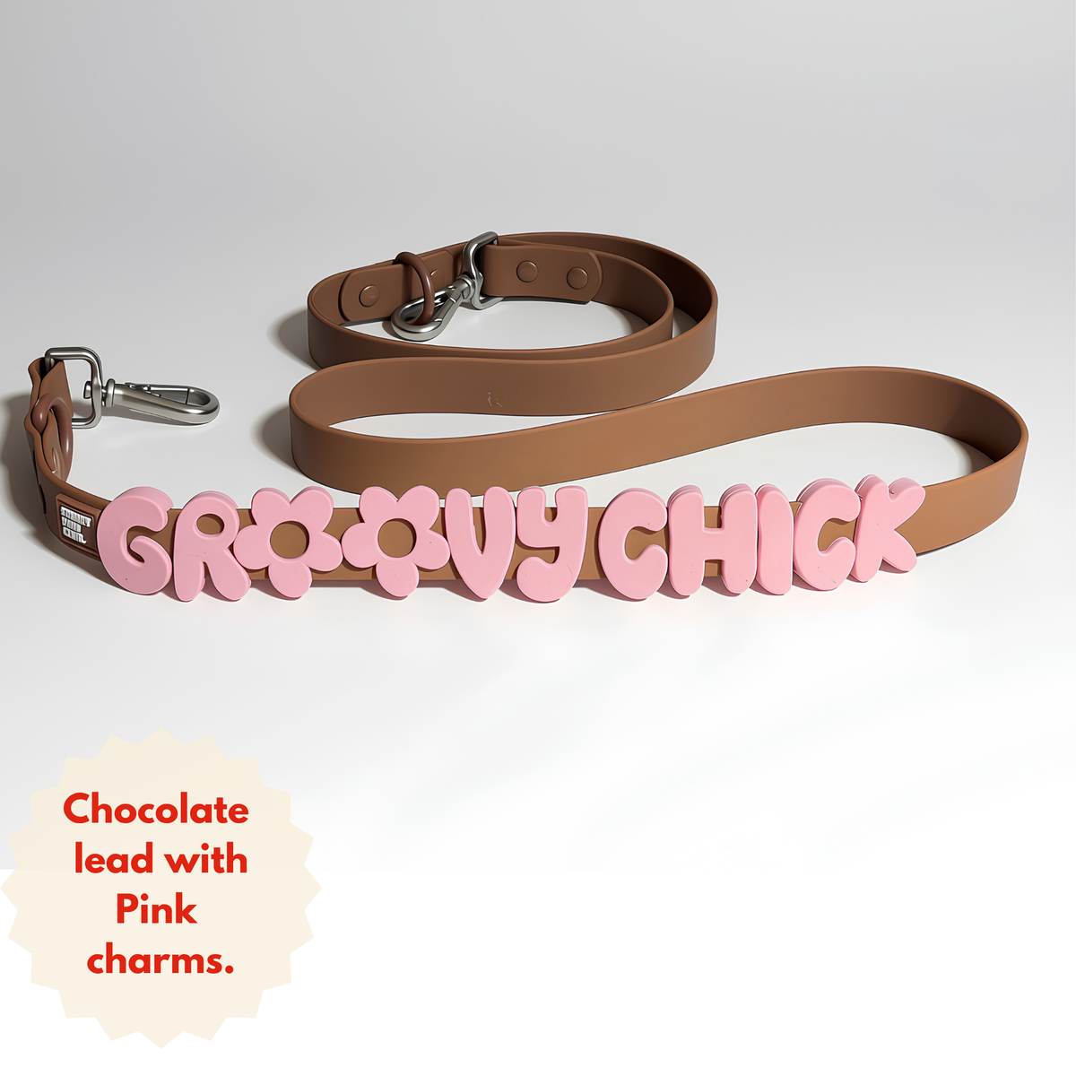 Custom DIY Charm Lead