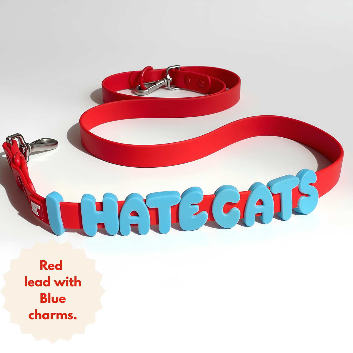 Custom DIY Charm Lead