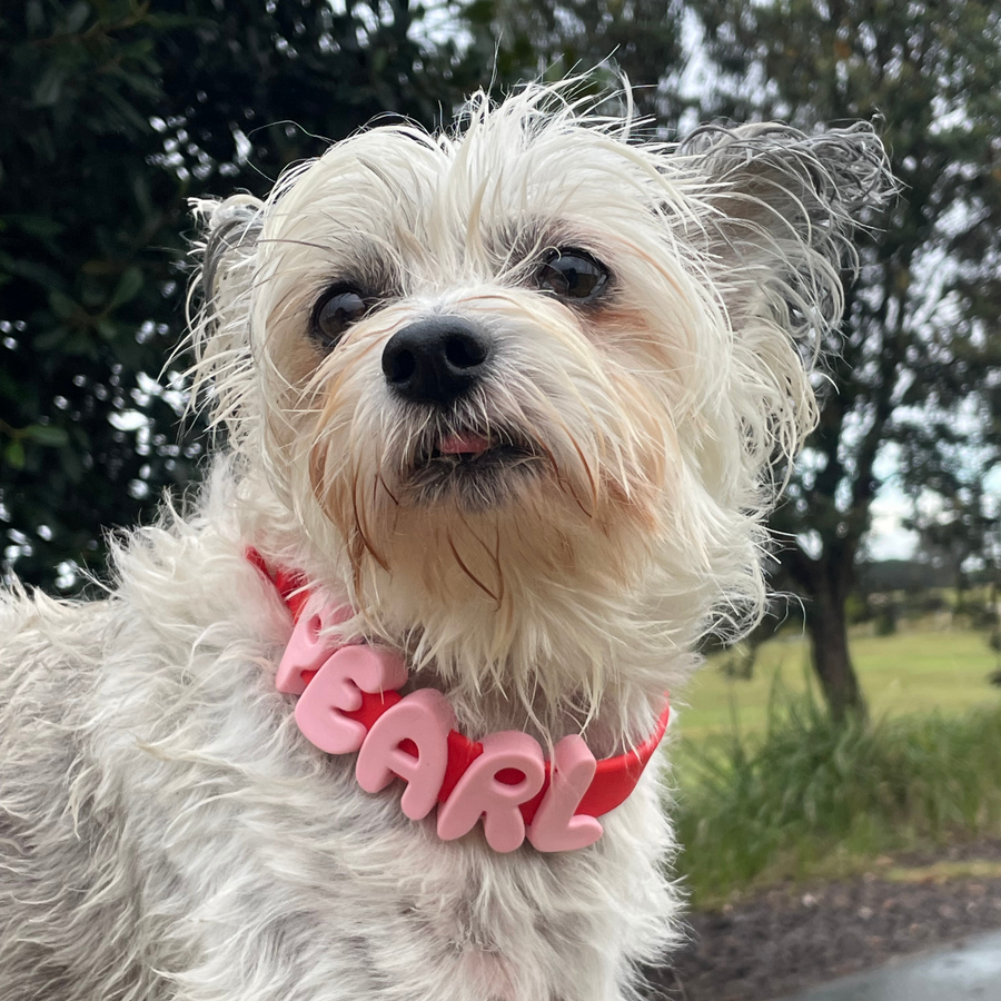 Charm Collars